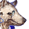 アロペクス