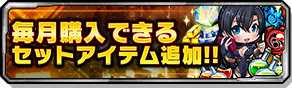 毎月購入できるセット