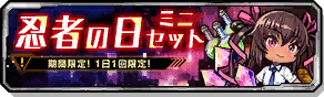 忍者の日ミニセット