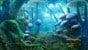 chapter_bg_047.jpg