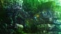 eve_raid_bg_00028.jpg