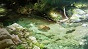 eve_map_top_bg_00054.jpg